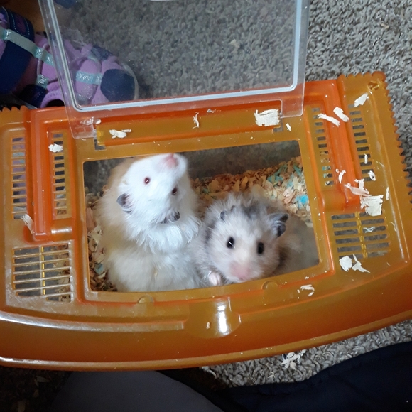 Meet your Posher, Megan - Picture 10 of 11